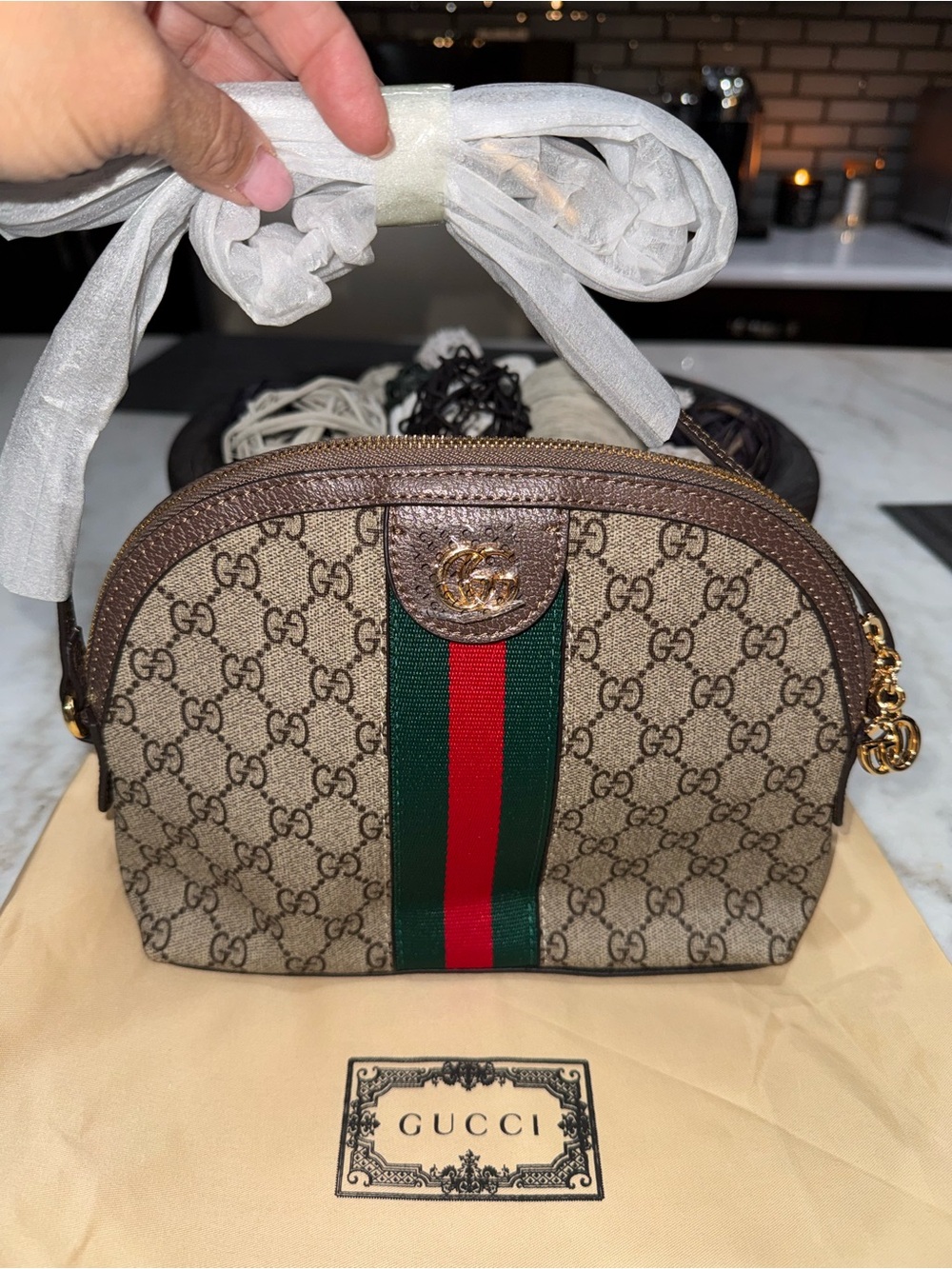 Gucci Ophidia bag